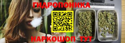 шишки Комсомольск-на-Амуре