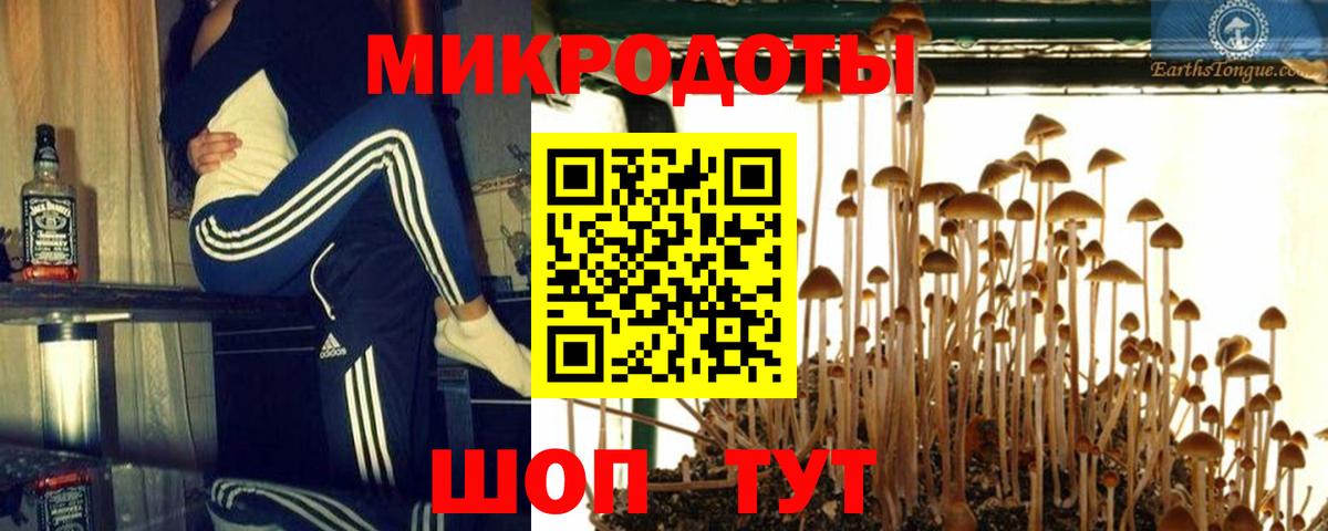 Галлюциногенные грибы Cubensis  Вход с VPN  Кизилюрт 